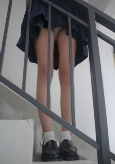 衰鸟向前冲-免费独播国语完整版