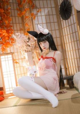 追星星的人-免费欧美国语版完整版